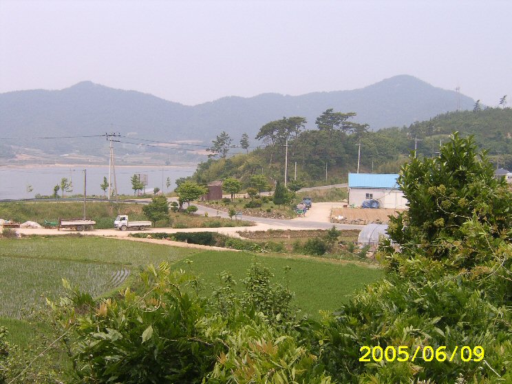 1 221.jpg